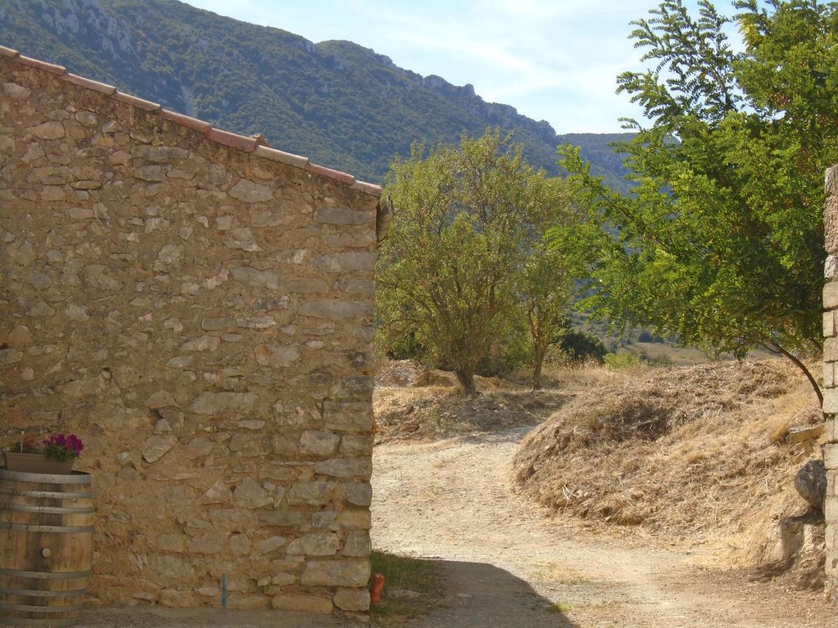 Chambre D'Hote Cucugnan Exteriér fotografie